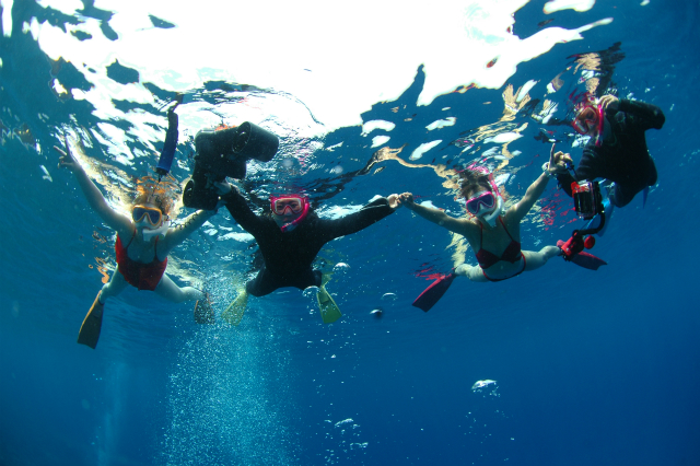 沖縄　慶良間　慶良間諸島　ダイビング　体験ダイビング