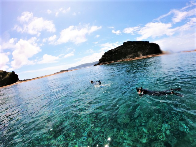 沖縄　慶良間　慶良間諸島　ダイビング　体験ダイビング