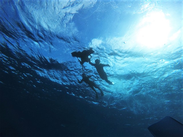沖縄　ダイビング　慶良間　体験ダイビング　FUNダイビング　慶良間諸島　ボートダイビング　自社船