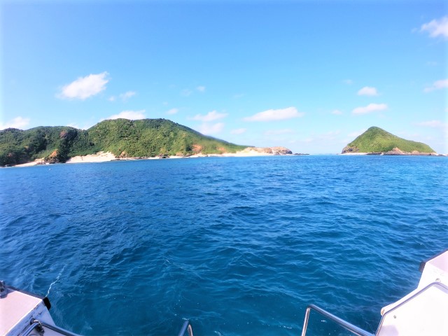 沖縄　ダイビング　慶良間　FUNダイビング　体験ダイビング　自社船