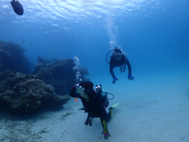 沖縄　体験ダイビング　海　本島