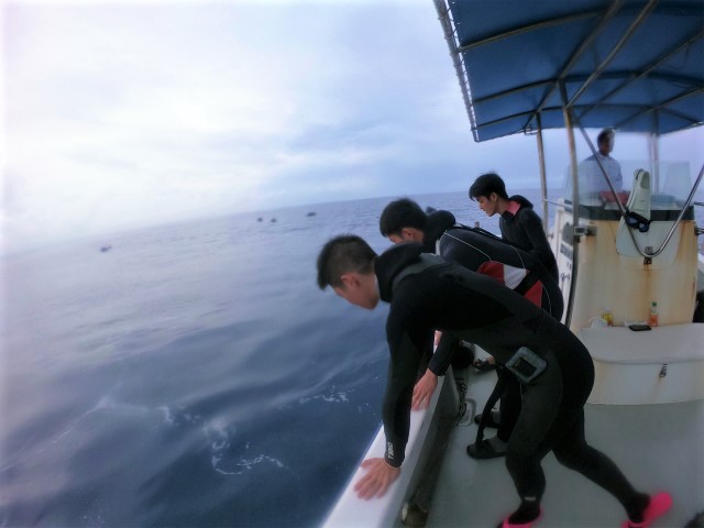 沖縄　沖縄本島　読谷村　ジンベエ　ジンベイ　ボートダイビング　体験ダイビング