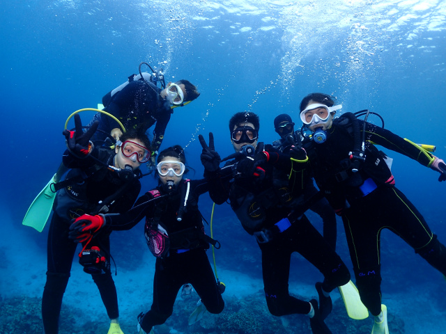 沖縄　ダイビング　慶良間　ウミガメ　体験ダイビング