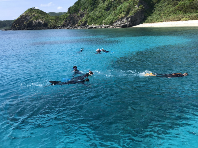 慶良間　体験　ダイビング　沖縄　観光