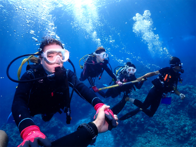 沖縄　ダイビング　慶良間　体験　ウミガメ