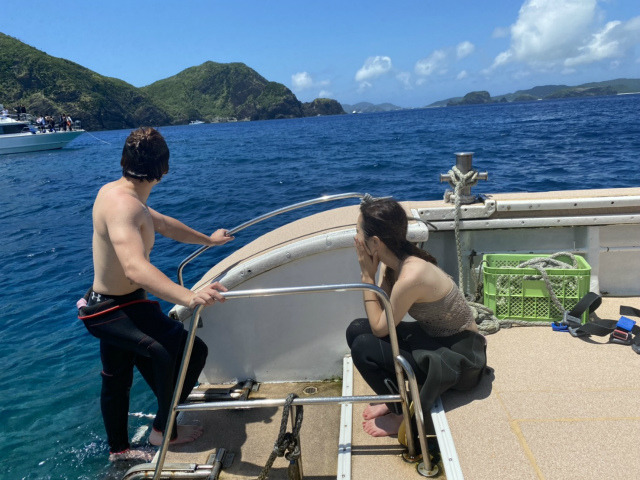 慶良間　沖縄　観光　ダイビング　ウミガメ