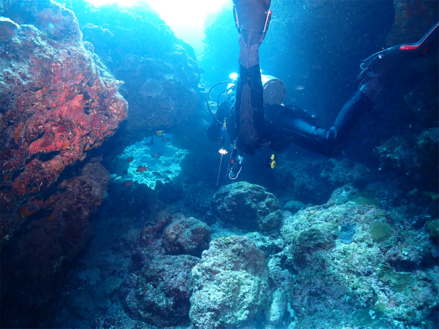 前兼久　ボートダイビング　沖縄ダイビング　青の洞窟
