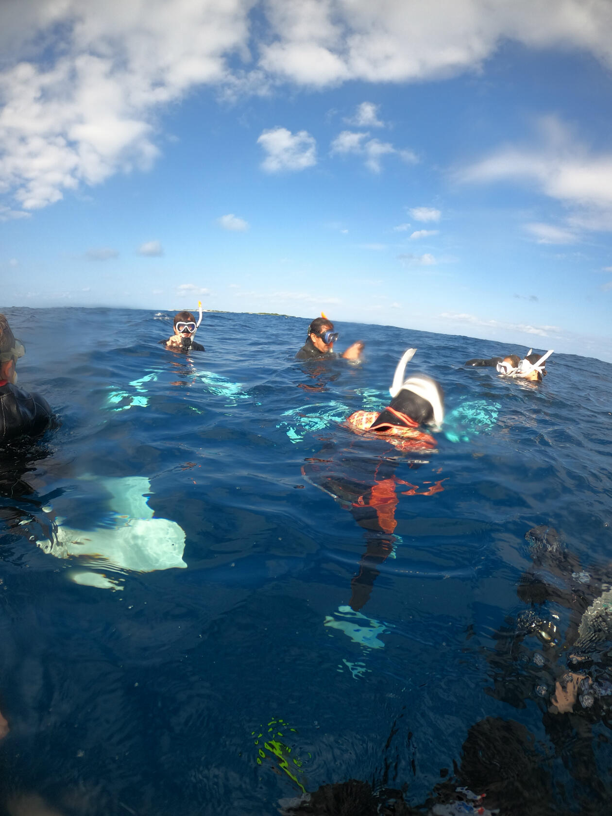 沖縄　中部ホエールスイム　クジラ　スキン