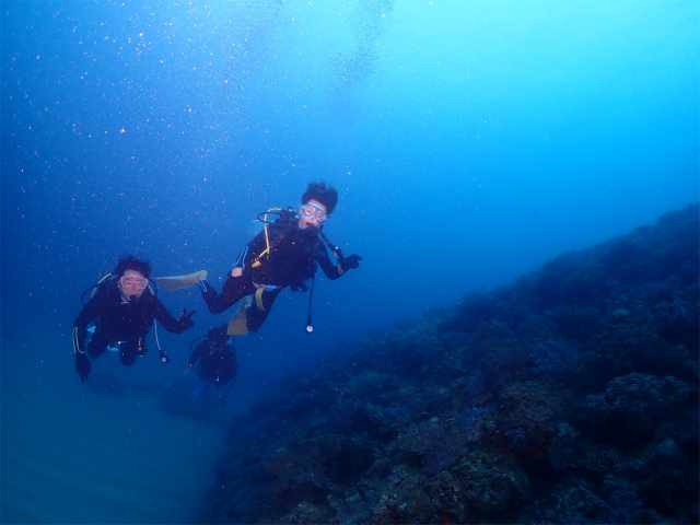 沖縄　西海岸　自社船　ダイビング　FUNダイビング　サンゴ