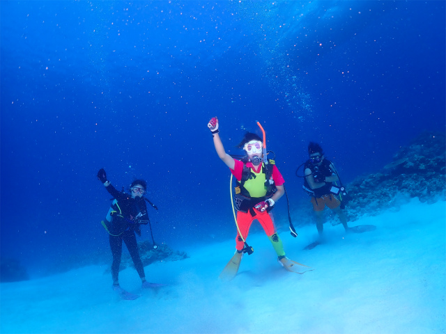 沖縄　慶良間　自社船　ダイビング　ウミガメ　体験ダイビング