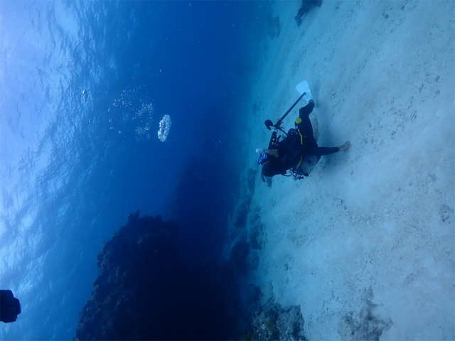 沖縄　チービシ　自社船　ダイビング　体験ダイビング