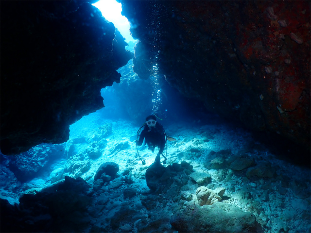 沖縄　慶良間　自社船　ダイビング　FUNダイビング