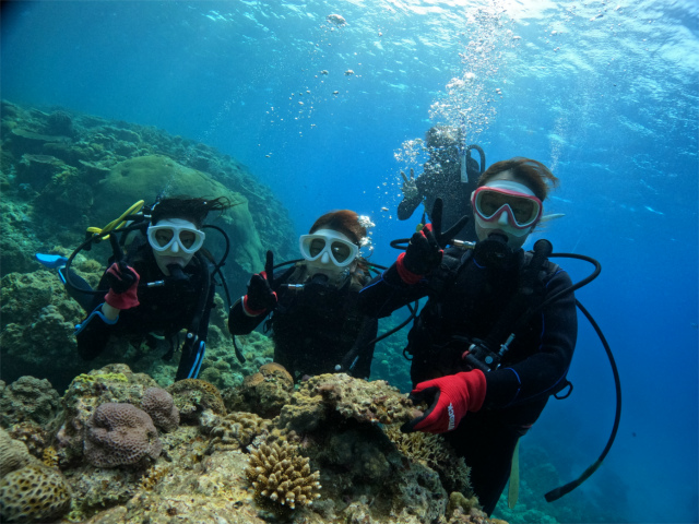 沖縄　慶良間　自社船　ダイビング　体験ダイビング