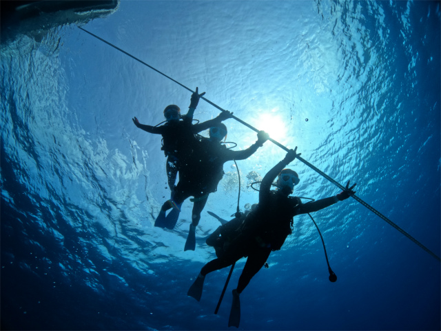 沖縄　慶良間　自社船　ダイビング　体験ダイビング