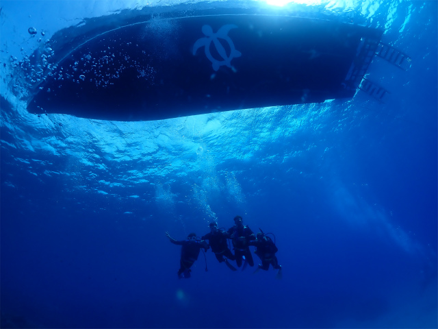 沖縄　慶良間　自社船　ダイビング　体験ダイビング