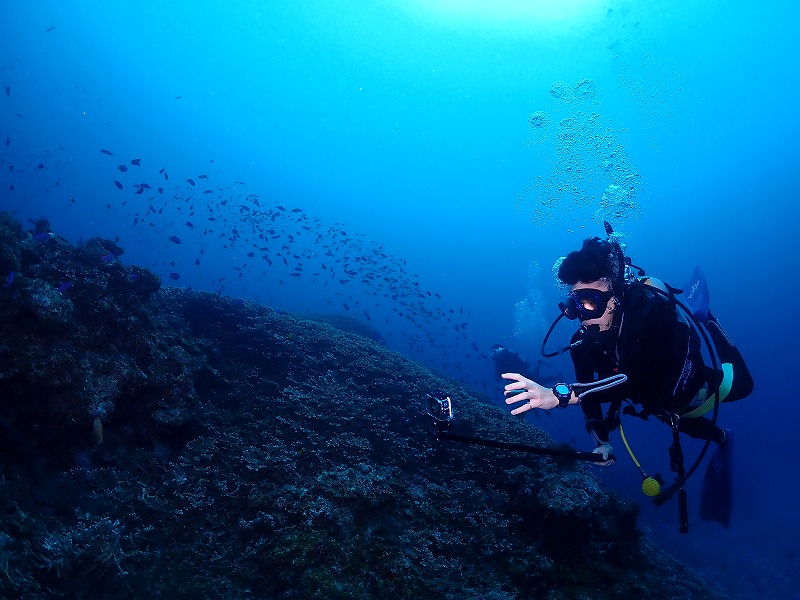沖縄　ダイビング　ウミガメ　サンゴ　体験ダイビング