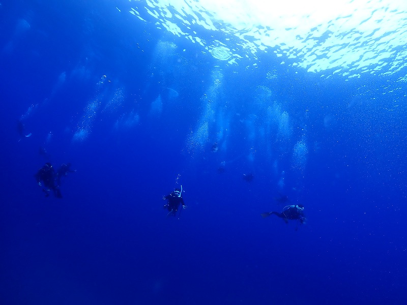 沖縄　ダイビング　トライアングル　ドリフトダイビング