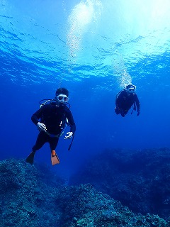 沖縄　ダイビング　慶良間　ウミガメ