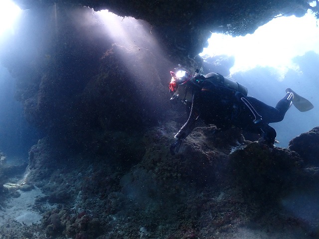 沖縄　ダイビング　慶良間　ウミガメ