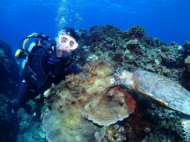 沖縄　ダイビング　慶良間　ウミガメ