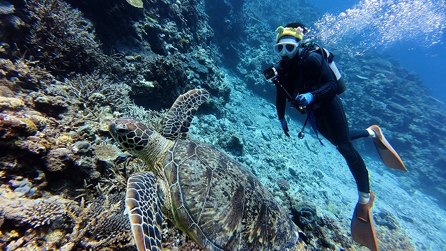 沖縄　ダイビング　慶良間　自社船