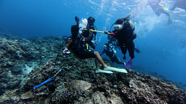 沖縄　ダイビング　慶良間　FUNダイビング　体験ダイビング