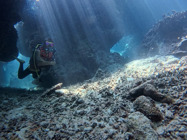 沖縄 ダイビング 慶良間 自社船