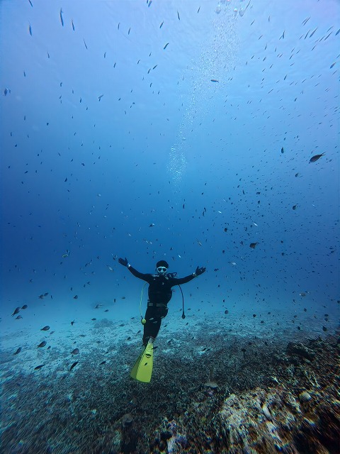 沖縄　ダイビング　慶良間　ウミガメ