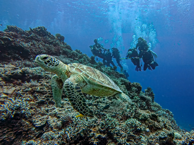 沖縄　ダイビング　慶良間　FUNダイビング　体験ダイビング