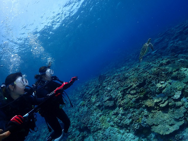 沖縄 ダイビング 慶良間 自社船