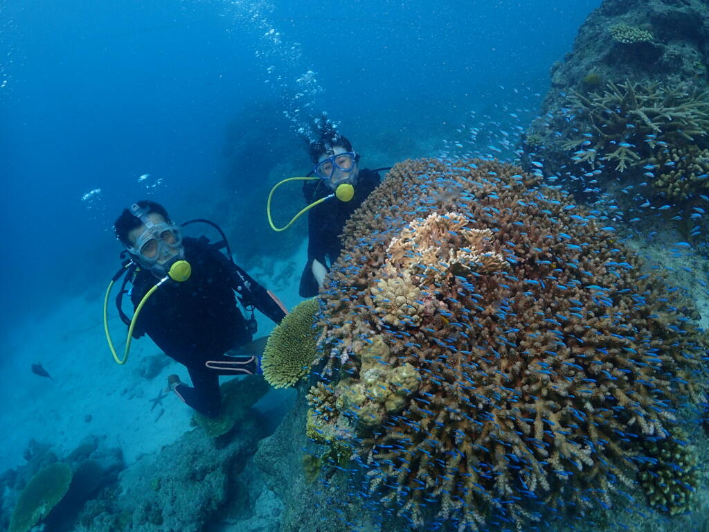 沖縄　ダイビング　慶良間　自社船