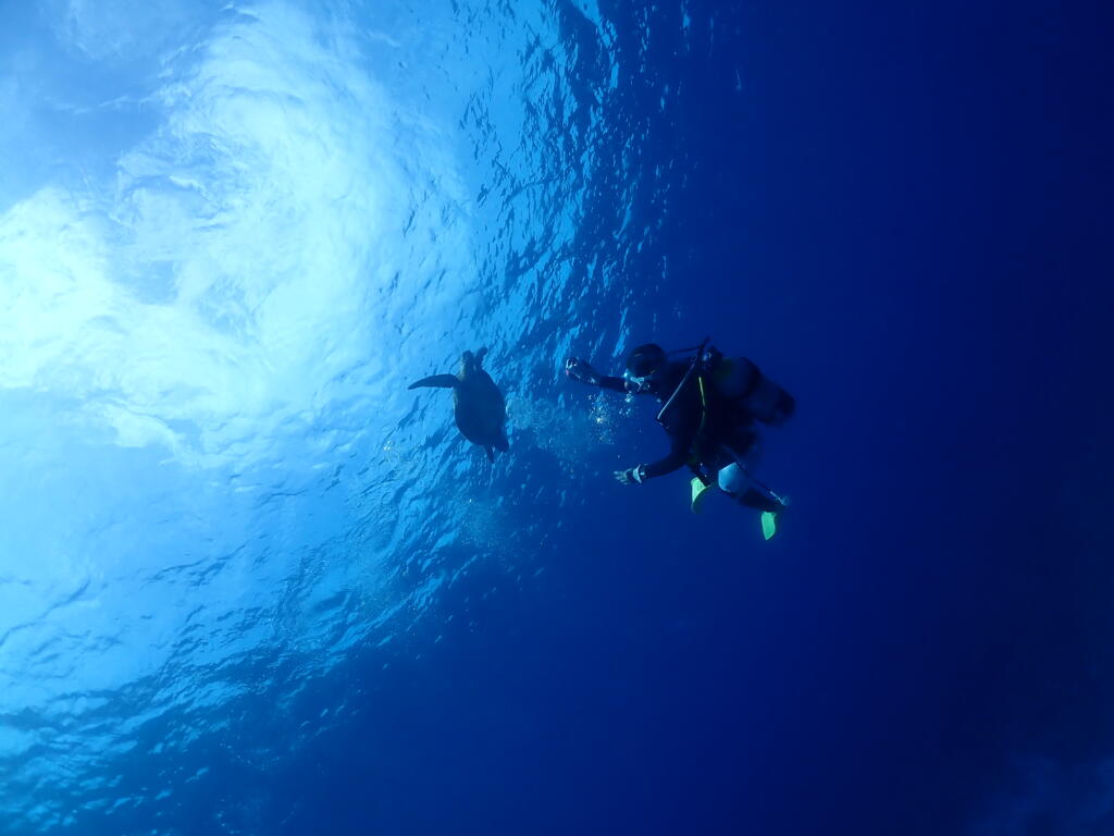 沖縄　ダイビング　慶良間　自社船