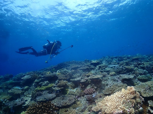 沖縄　ダイビング　慶良間　自社船