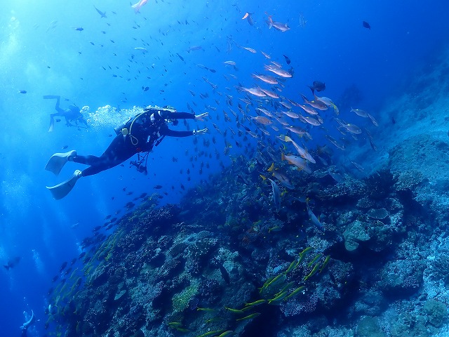沖縄　ダイビング　慶良間　自社船
