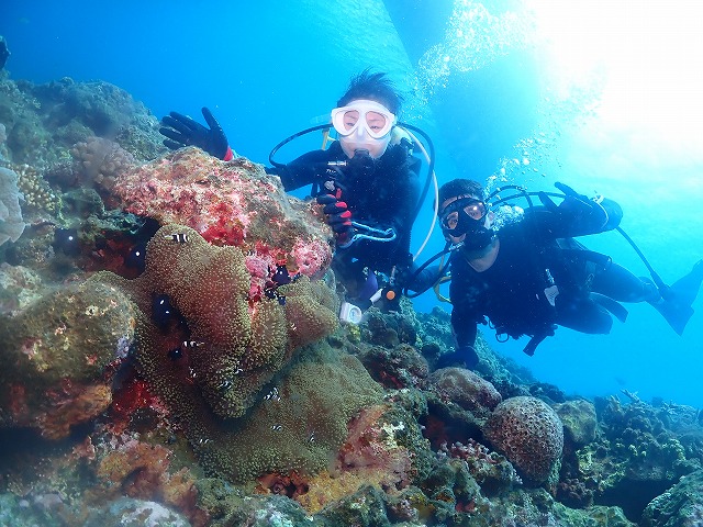 沖縄　ダイビング　慶良間　ウミガメ