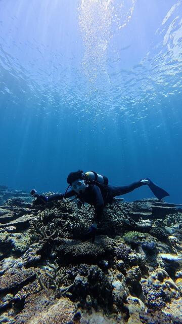 沖縄　ダイビング　慶良間　自社船