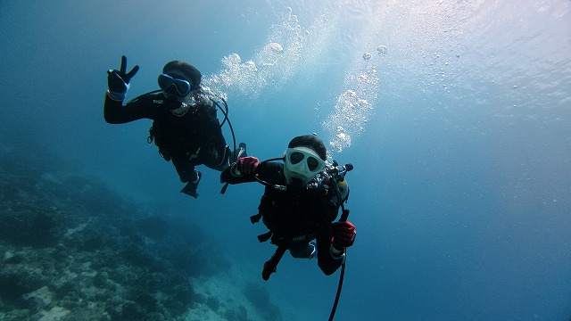 沖縄　ダイビング　慶良間　ウミガメ