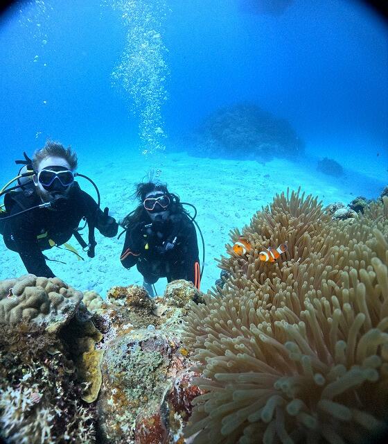 沖縄 ダイビング 慶良間 自社船