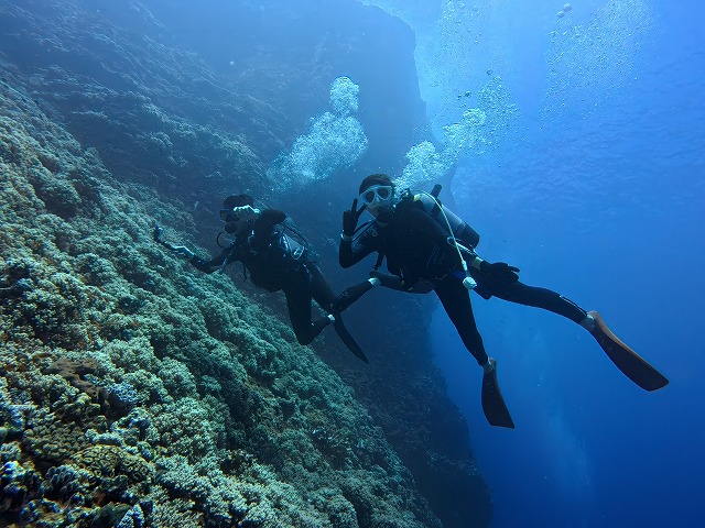 沖縄 ダイビング 慶良間 自社船