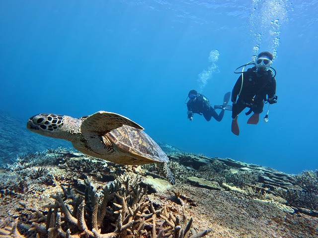 沖縄 ダイビング 慶良間 自社船