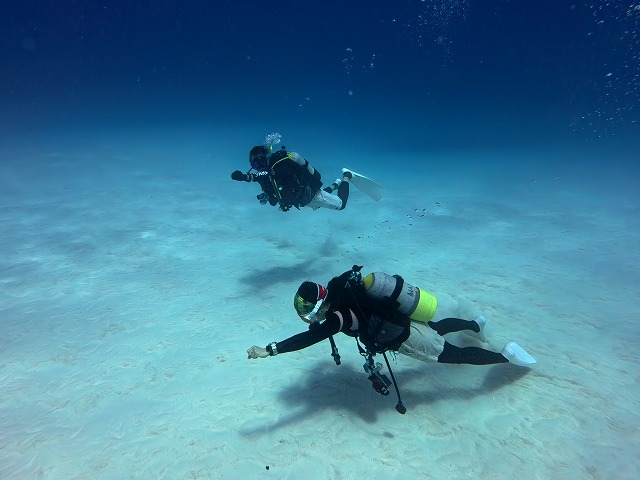 沖縄　ダイビング　慶良間　自社船