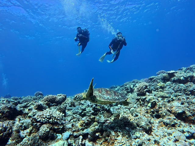 沖縄　ダイビング　慶良間　自社船