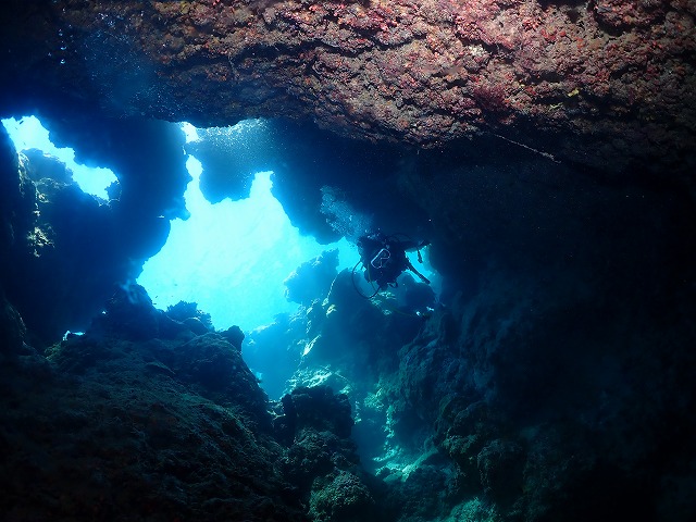 沖縄 ダイビング 慶良間 自社船