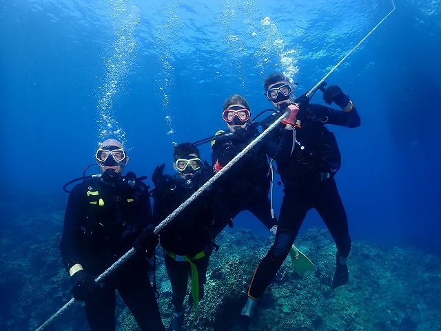 沖縄 ダイビング 慶良間 ウミガメ