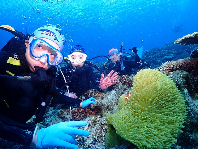 沖縄　ダイビング　慶良間　ウミガメ