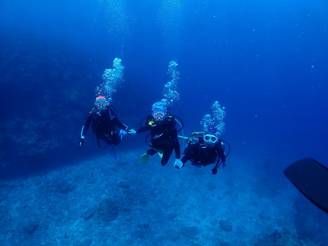 沖縄　ダイビング　慶良間　ウミガメ