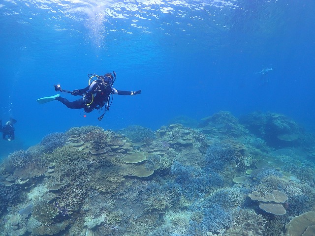沖縄　ダイビング　慶良間　自社船