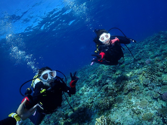 沖縄　ダイビング　慶良間　自社船