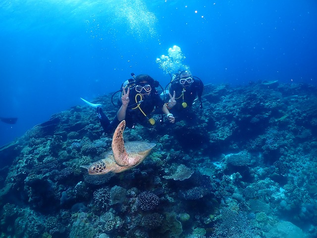 沖縄　ダイビング　慶良間　ウミガメ