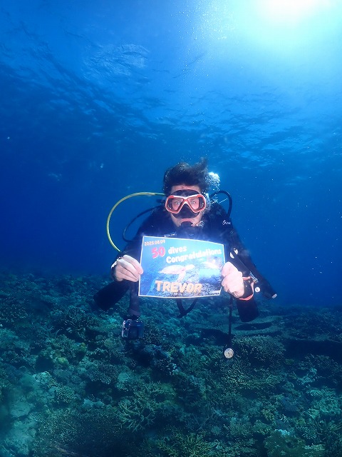 沖縄　ダイビング　慶良間　ウミガメ